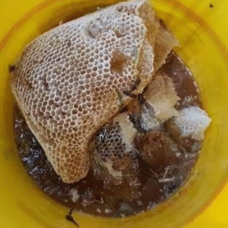 Honey